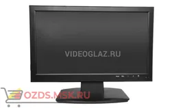 RVi-M19P V.2: Монитор для видеонаблюдения