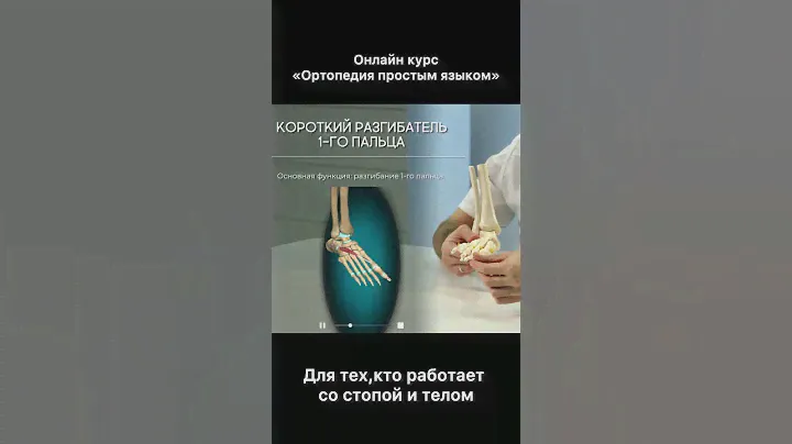 Мышцы 1-го пальца стопы. Онлайн курс «Ортопедия для всех»