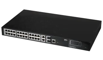 RVi-NS2404M, Сетевой коммутатор