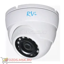 RVI-IPC31VB (4): Купольная IP-камера